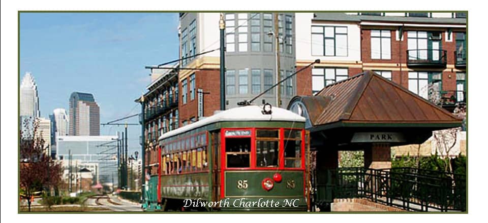 Savvy Lifestyle in Dilworth