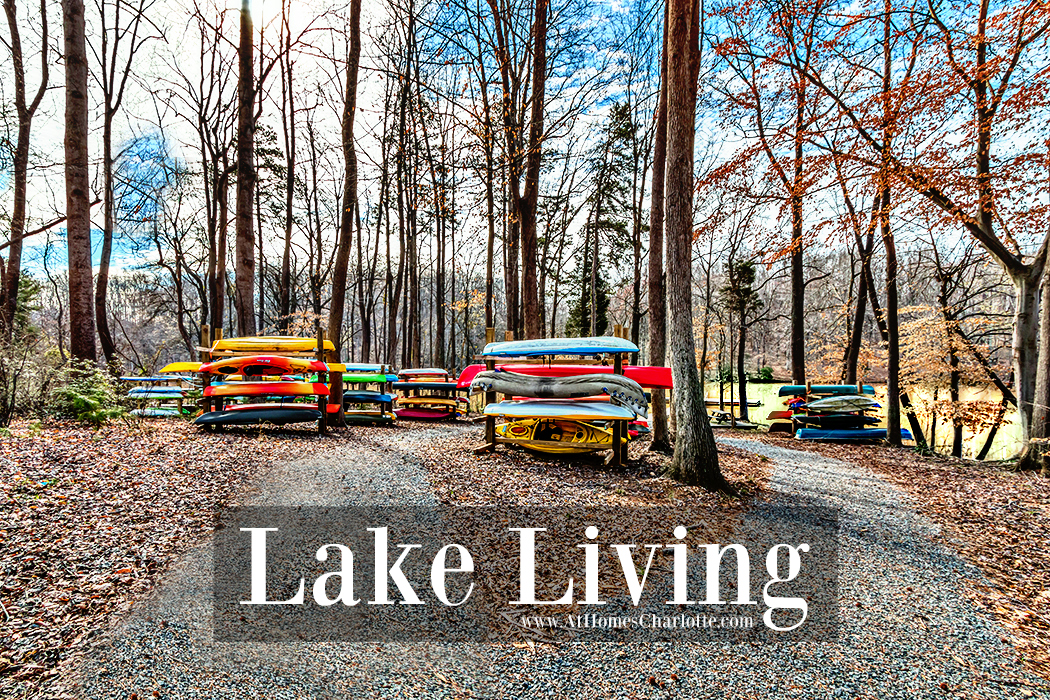 Luxurious Townhome In The Vineyards On Lake Wylie Charlotte Nc Homes For Sale By The Maxwell